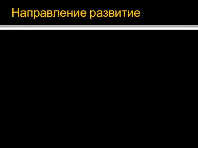 Направление развитие Применение : Датчики и сигнализация Комплексный анализ Развитие: Эксперименты Сталкивание с генетическими алгоритмами