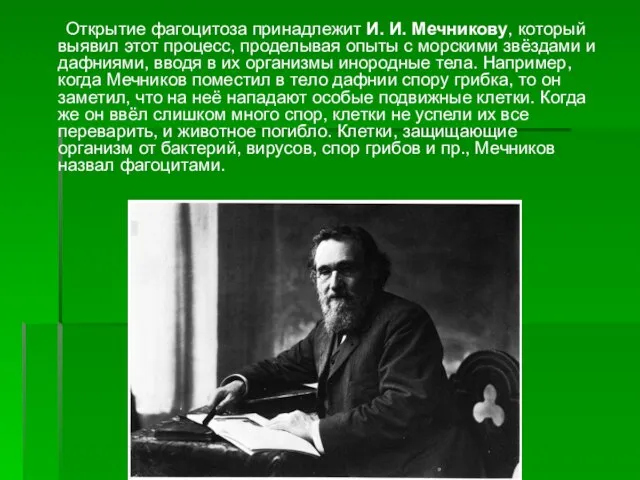 Открытие фагоцитоза принадлежит И. И. Мечникову, который выявил этот процесс, проделывая опыты