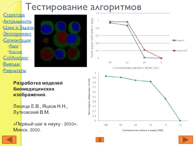 Тестирование алгоритмов Разработка моделей биомедицинских изображений. Лисица Е.В., Яцков Н.Н., Лутковский В.М.