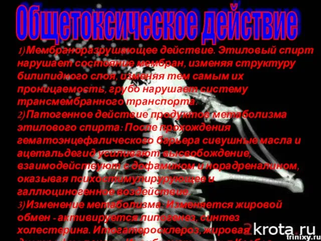 1) Мембраноразрушающее действие. Этиловый спирт нарушает состояние мембран, изменяя структуру билипидного слоя,