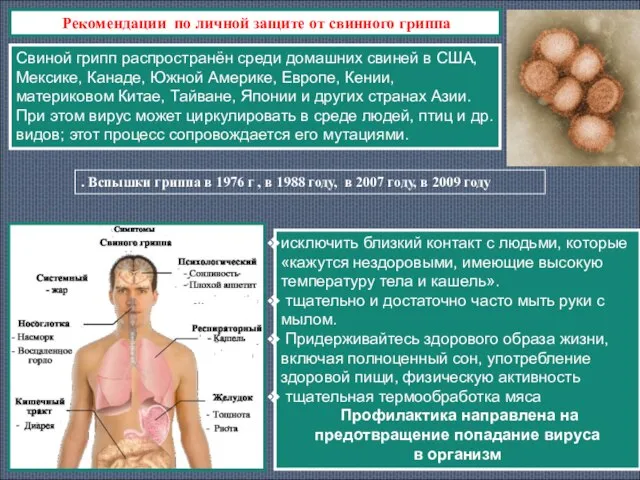 . Вспышки гриппа в 1976 г , в 1988 году, в 2007