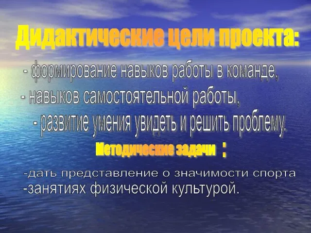 Дидактические цели проекта: - навыков самостоятельной работы, - формирование навыков работы в