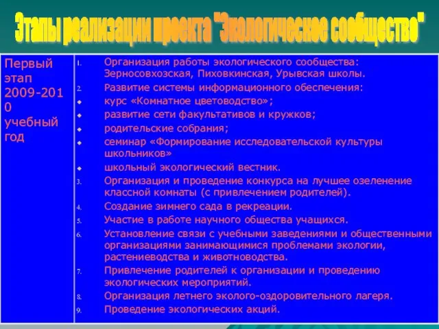 Этапы реализации проекта "Экологическое сообщество"