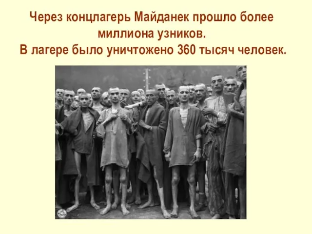 Через концлагерь Майданек прошло более миллиона узников. В лагере было уничтожено 360 тысяч человек.