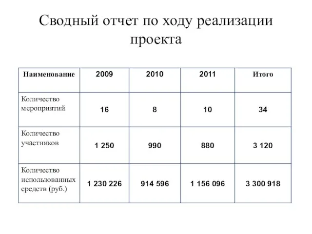 Сводный отчет по ходу реализации проекта