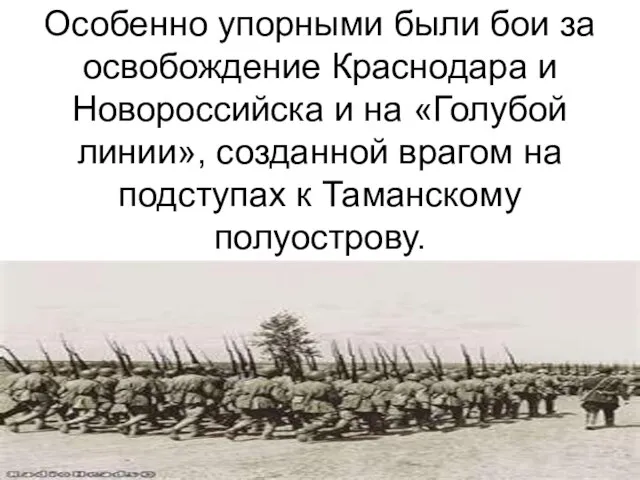 Особенно упорными были бои за освобождение Краснодара и Новороссийска и на «Голубой