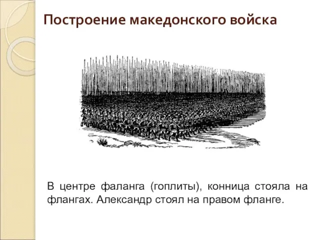 Построение македонского войска В центре фаланга (гоплиты), конница стояла на флангах. Александр стоял на правом фланге.