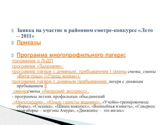 Заявка на участие в районном смотре-конкурсе «Лето – 2011» Приказы Программа многопрофильного