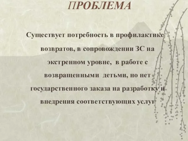 ПРОБЛЕМА Существует потребность в профилактике возвратов, в сопровождении ЗС на экстренном уровне,