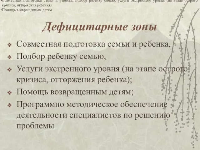 Дефицитарные зоны Совместная подготовка семьи и ребенка, Подбор ребенку семью, Услуги экстренного