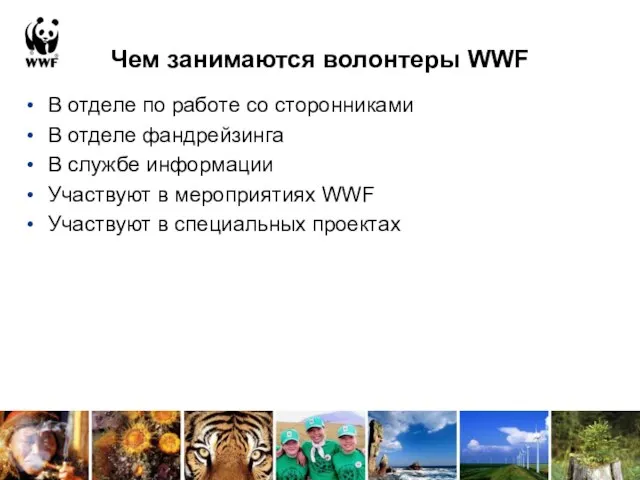 Чем занимаются волонтеры WWF В отделе по работе со сторонниками В отделе