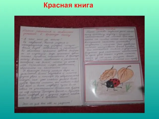 Красная книга