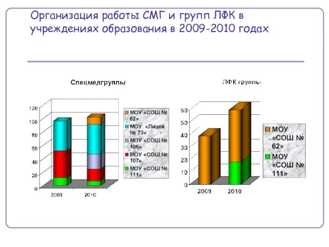 Организация работы СМГ и групп ЛФК в учреждениях образования в 2009-2010 годах