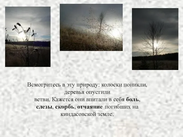 Всмотритесь в эту природу: колоски поникли, деревья опустили ветви. Кажется они впитали