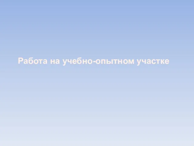 Работа на учебно-опытном участке