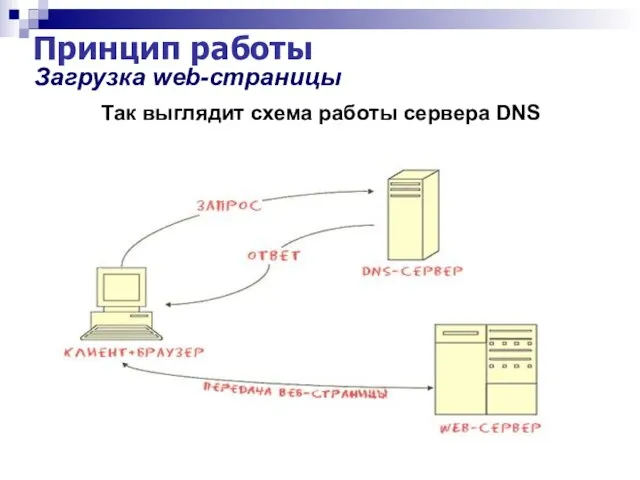 Принцип работы Загрузка web-страницы Так выглядит схема работы сервера DNS