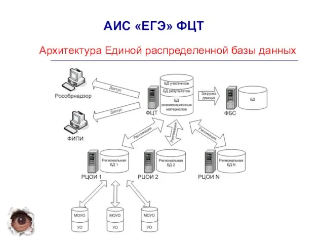 Архитектура Единой распределенной базы данных АИС «ЕГЭ» ФЦТ