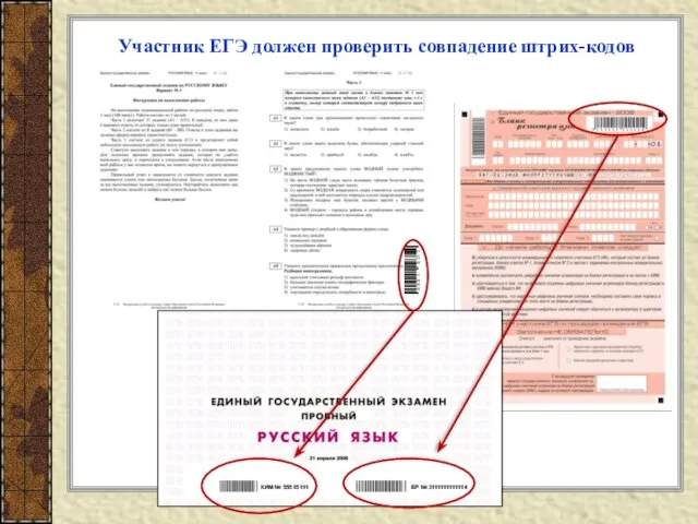 БР № 3111111111114 КИМ № 55515111 Участник ЕГЭ должен проверить совпадение штрих-кодов