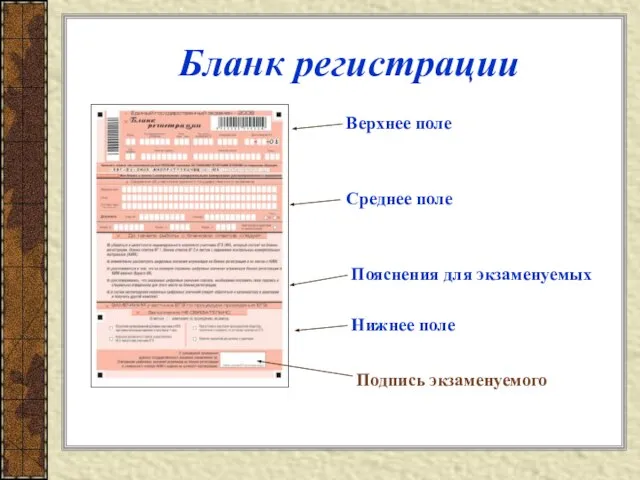 Бланк регистрации Верхнее поле Среднее поле Пояснения для экзаменуемых Нижнее поле Подпись экзаменуемого