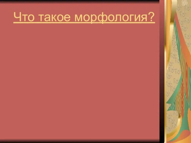 Что такое морфология?