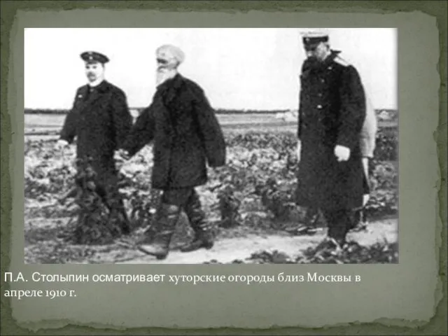 П.А. Столыпин осматривает хуторские огороды близ Москвы в апреле 1910 г.