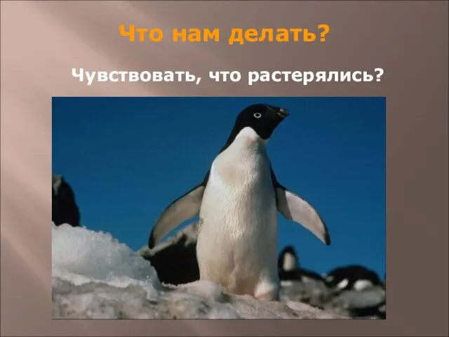 Чувствовать, что растерялись? Что нам делать?