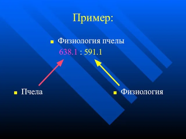 Пример: Физиология пчелы 638.1 : 591.1 Пчела Физиология