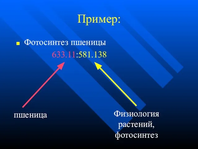 Пример: Фотосинтез пшеницы 633.11:581.138 пшеница Физиология растений, фотосинтез