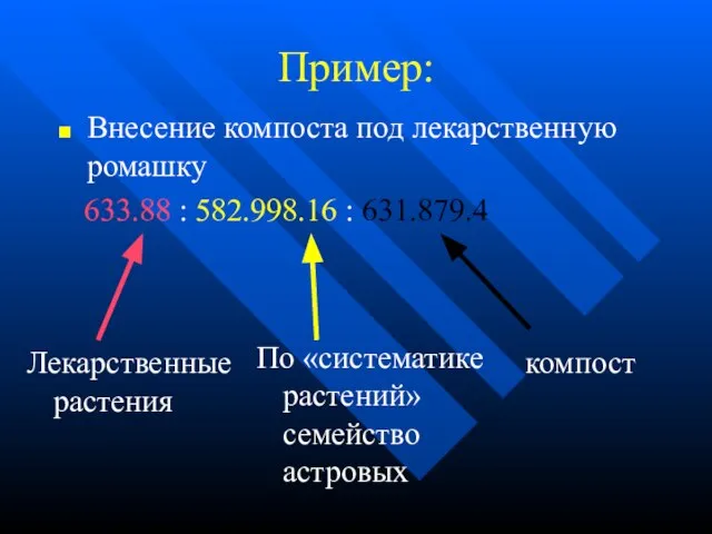 Внесение компоста под лекарственную ромашку 633.88 : 582.998.16 : 631.879.4 Пример: Лекарственные