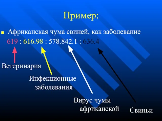 Африканская чума свиней, как заболевание 619 : 616.98 : 578.842.1 : 636.4