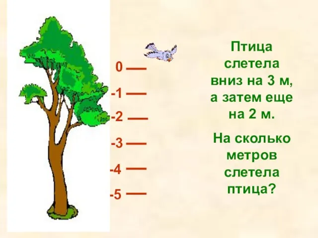 Птица слетела вниз на 3 м, а затем еще на 2 м.