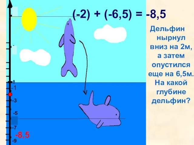 Дельфин нырнул вниз на 2м, а затем опустился еще на 6,5м. На