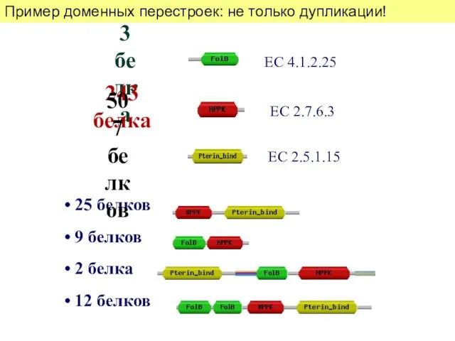 Пример доменных перестроек: не только дупликации!