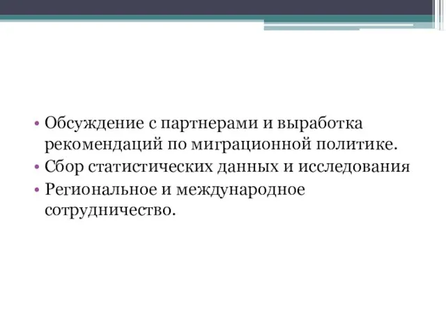 Обсуждение с партнерами и выработка рекомендаций по миграционной политике. Сбор статистических данных