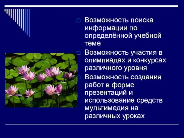 Возможность поиска информации по определённой учебной теме Возможность участия в олимпиадах и