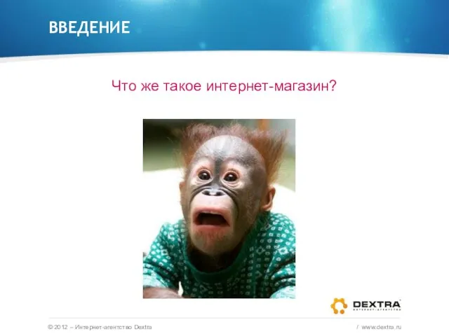 ВВЕДЕНИЕ Что же такое интернет-магазин? © 2012 – Интернет-агентство Dextra / www.dextra.ru