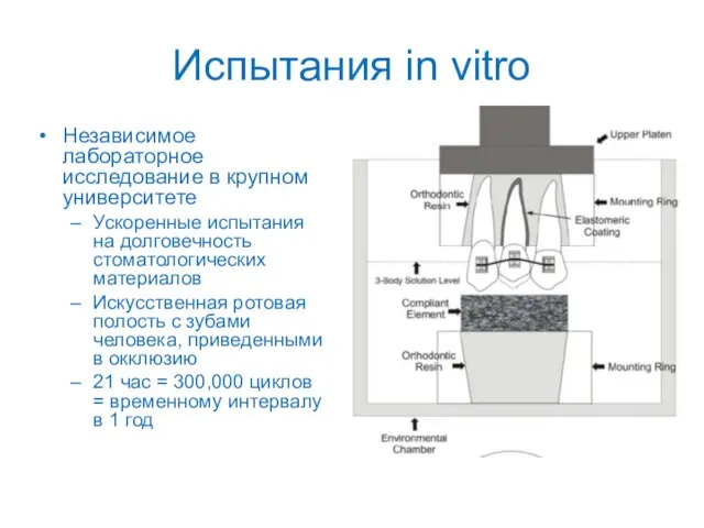 Испытания in vitro Независимое лабораторное исследование в крупном университете Ускоренные испытания на