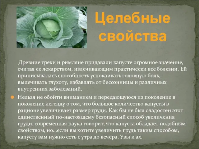 Древние греки и римляне придавали капусте огромное значение, считая ее лекарством, излечивающим