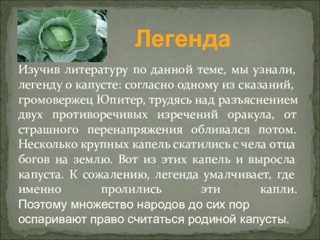 Изучив литературу по данной теме, мы узнали, легенду о капусте: согласно одному