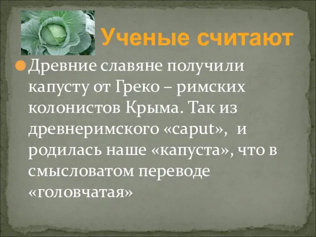 Древние славяне получили капусту от Греко – римских колонистов Крыма. Так из