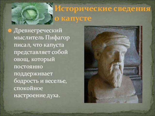 Исторические сведения о капусте Древнегреческий мыслитель Пифагор писал, что капуста представляет собой