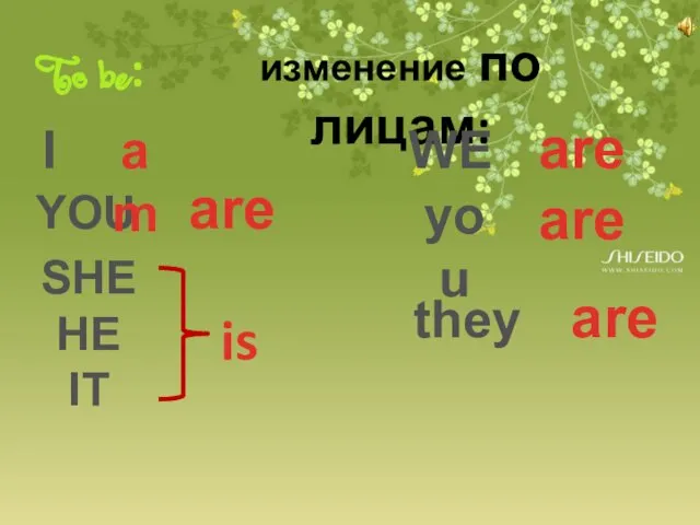 To be: изменение по лицам: I YOU SHE HE IT am are