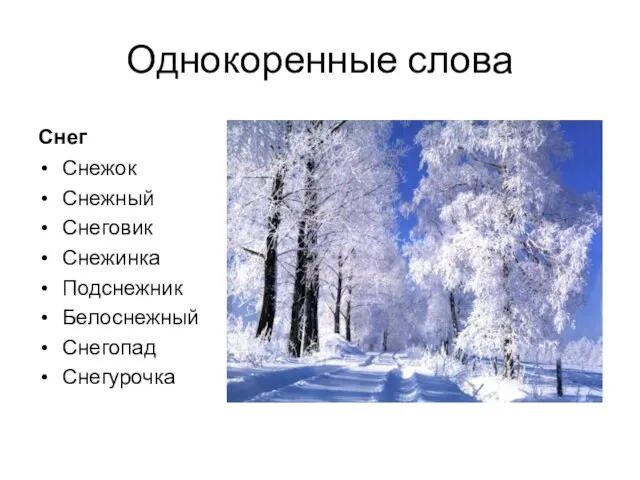 Однокоренные слова Снег Снежок Снежный Снеговик Снежинка Подснежник Белоснежный Снегопад Снегурочка