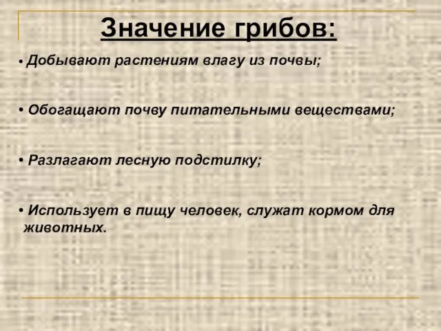 Значение грибов: Добывают растениям влагу из почвы; Обогащают почву питательными веществами; Разлагают