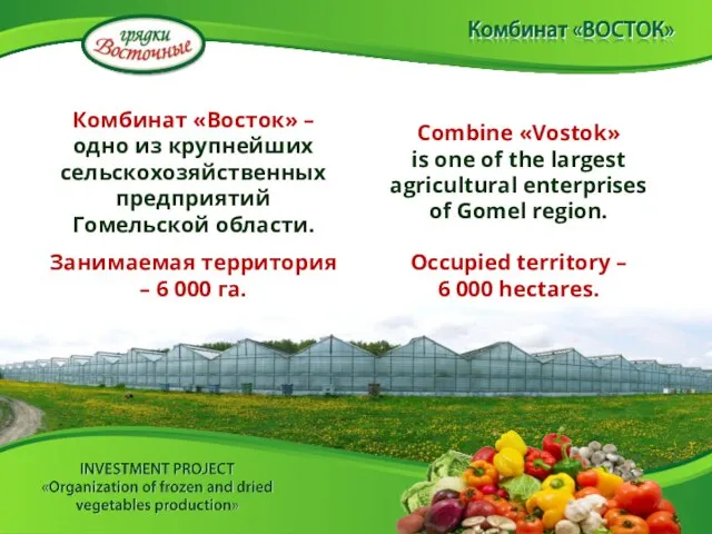 Комбинат «Восток» – одно из крупнейших сельскохозяйственных предприятий Гомельской области. Занимаемая территория