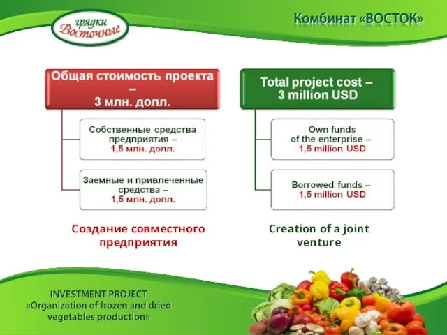 Создание совместного предприятия Creation of a joint venture