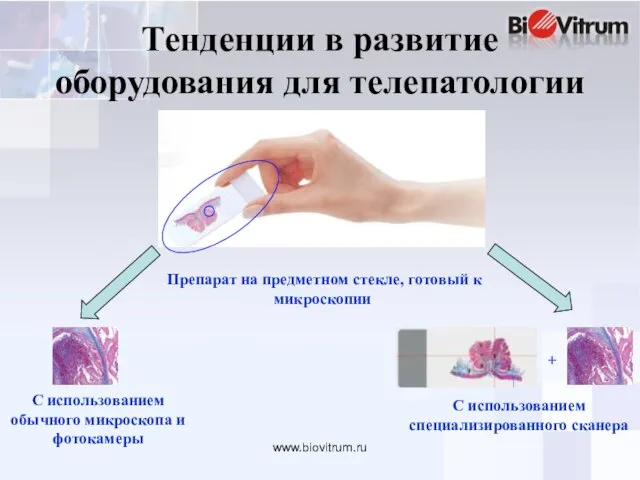 www.biovitrum.ru Тенденции в развитие оборудования для телепатологии Препарат на предметном стекле, готовый