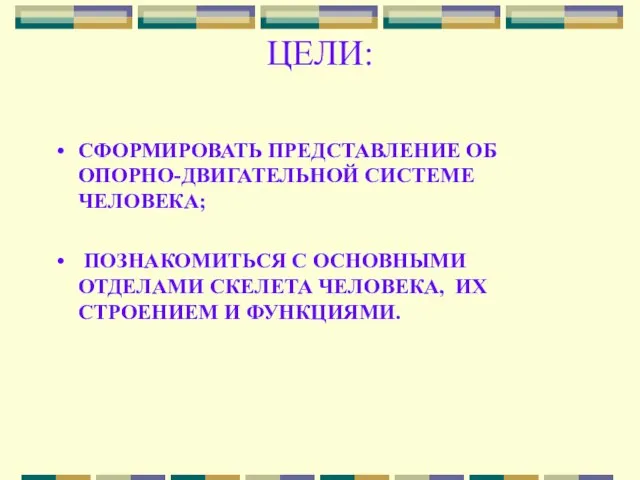 ЦЕЛИ: СФОРМИРОВАТЬ ПРЕДСТАВЛЕНИЕ ОБ ОПОРНО-ДВИГАТЕЛЬНОЙ СИСТЕМЕ ЧЕЛОВЕКА; ПОЗНАКОМИТЬСЯ С ОСНОВНЫМИ ОТДЕЛАМИ СКЕЛЕТА