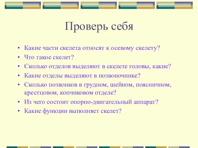 Проверь себя Какие части скелета относят к осевому скелету? Что такое скелет?