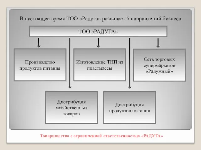 В настоящее время ТОО «Радуга» развивает 5 направлений бизнеса Товарищество с ограниченной